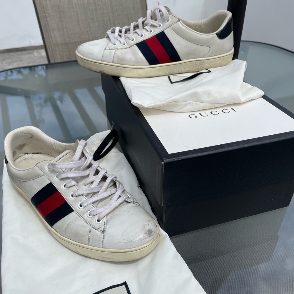 Gucci ace sneakers.